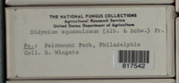 Image Associated With the Occurence